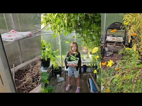 Lisbeths trädgård. Rundtur november 2024  inför Öland Spirar maj 2025