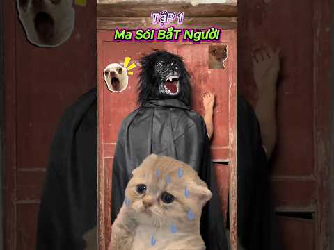 Tập 1 : Sự Tích Về Ma Sói #viral #trending #shorts  #funny #giaitri #reviewvui #chuyentamlinh