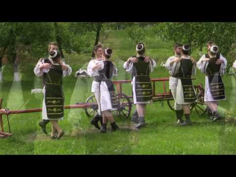 Pescarus Nelu  -Formatia Policrom -  Un lucru as mai vrea Doamne