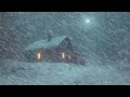 Cold Blizzard At The Porch Howling Wind Blowing Snow Nature Sounds For Sleep Study Relaxation