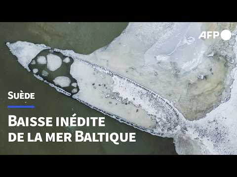 Stockholm: une épave du XVIIe siècle resurgit | AFP