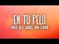Javier Solis - En Tu Pelo (Letra/Lyrics) ft. Gabriel Siria Levario
