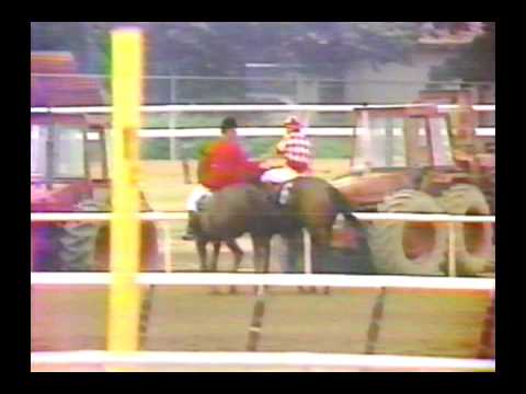 1981 Belmont Stakes - Summing : CBS Broadcast