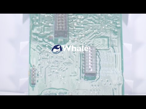 Switch Connect Hardwired Connection to Mira Advance Flex Extra (without Flow Switch) by Whale