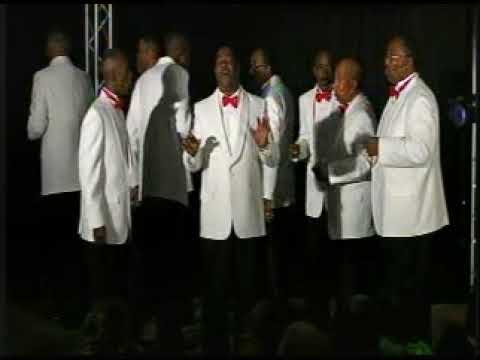 Looking for an Echo 200.mpg