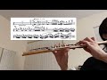 3 18 24 Practice Log Prokofiev Peter And The Wolf Flute Excerpt