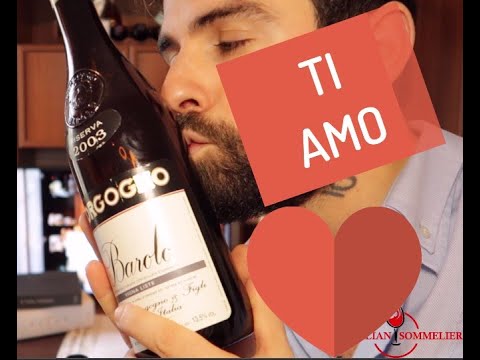 Questa bella signora mi ha RUBATO IL CUORE – Recensione barolo Borgogno riserva 2003