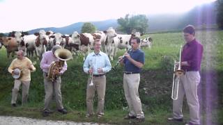 Cow Concert (unedited) - Part 2
