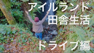 とある晴れた土曜日の散歩と茶色い滝