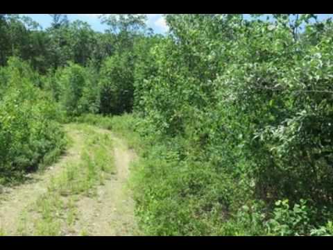 Lots 11-15 Candlewood Drive Spencer MA 01562