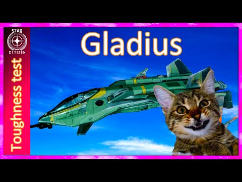 3.19 Toughness test Gladius - CIG's Darling