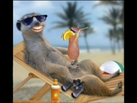 Strapon Mann und Frau Video Sex-Videos mit Sternen kostenlos