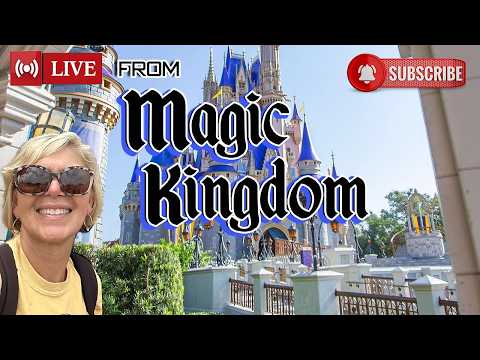 Live webcam of That Crazy Disney Lady