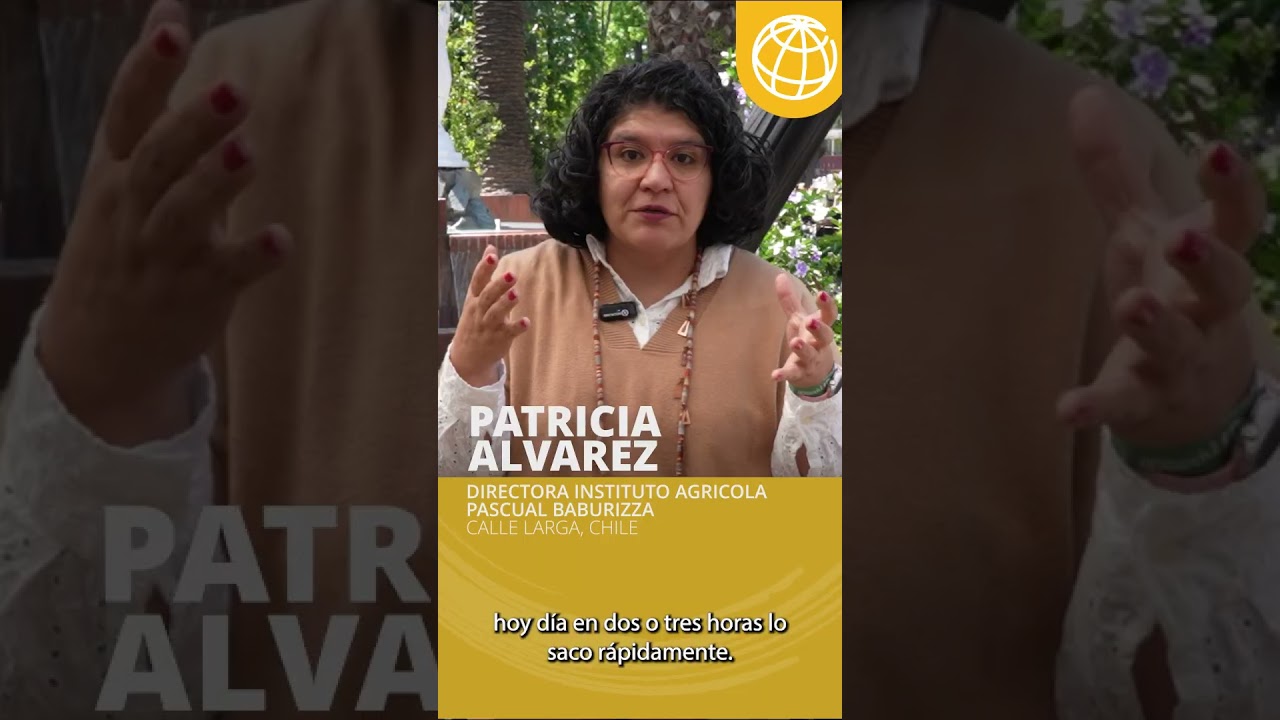 Inteligencia Artificial para la educación en América Latina y el Caribe