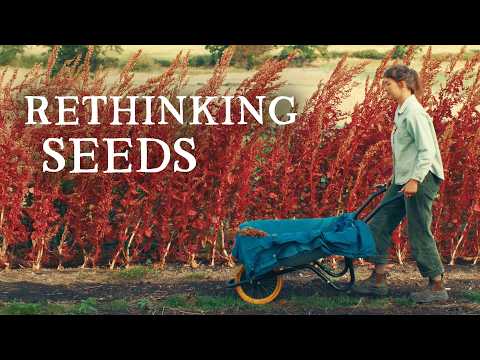 Revolutionary Seed Production: A New Paradigm Emerges