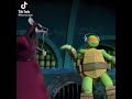 ninja turtle