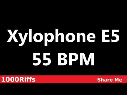 Xylophone E5 Metronome : 55 BPM ✓
