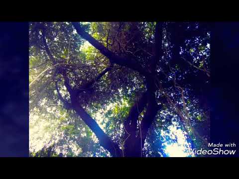 Sanushebin photography