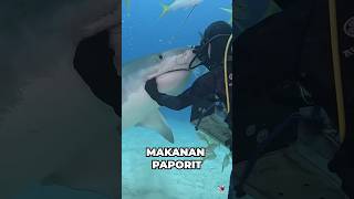 Download lagu Sharks are also victims of human slander, sis 💀 even made into films #short #story #animals mp3