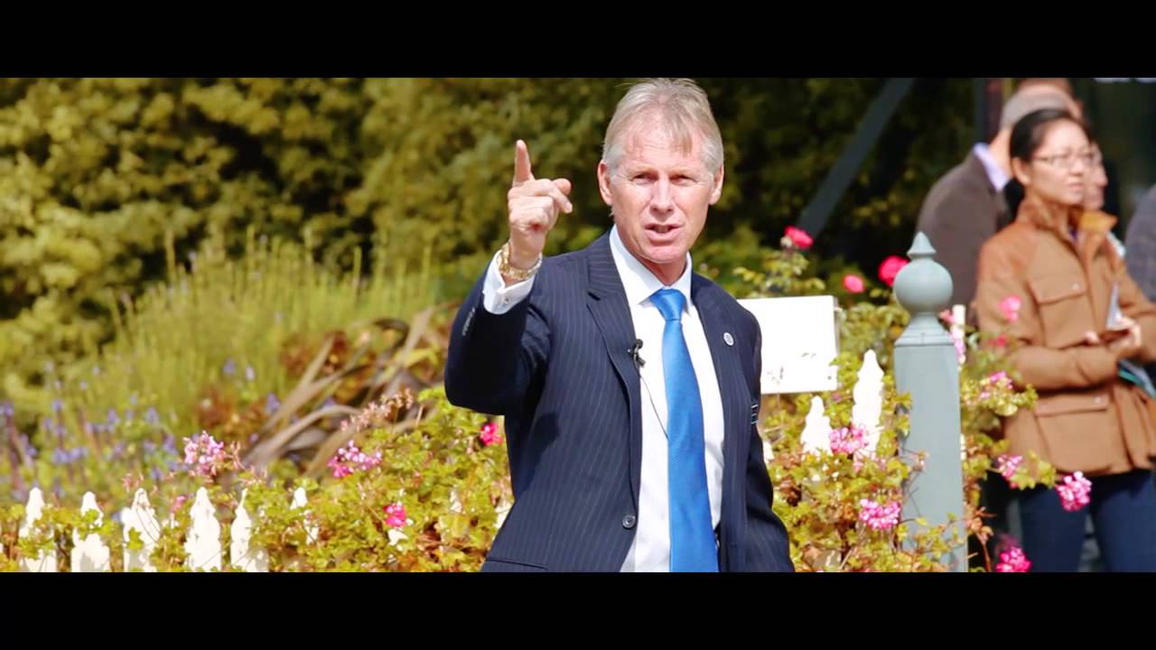 Damien Davis Auctioneer