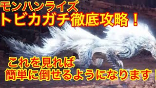 【MHR】トビカガチ徹底解説！これを見れば立ち回りの全てが分かります！【モンハンライズ】【初心者講座】