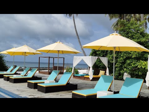 Videos del Atmosphere Kanifushi 5★ en Atolón Lhaviyani, Maldivas
Ver Más
Ver
Precios
19
Cerrar
Consulta por Whatsapp 🇦🇷
Booking
Tripadvisor
Expedia
Agoda
Travelocity
Orbitz
Priceline
Trip
Skyscanner
Despegar
Kayak
Hoteles
Destinia
Trivago
Lastminute
Hotwire
Cheaptickets
Tui
Wotif