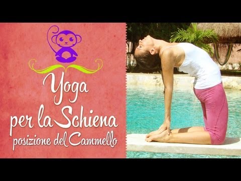 Cuscini in osteocondrosi della zona lombare Dolore addominale e parte bassa della schiena allinizio della gravidanza