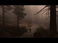The Pain Of Recalling Memories Of An Empty Life Playlist