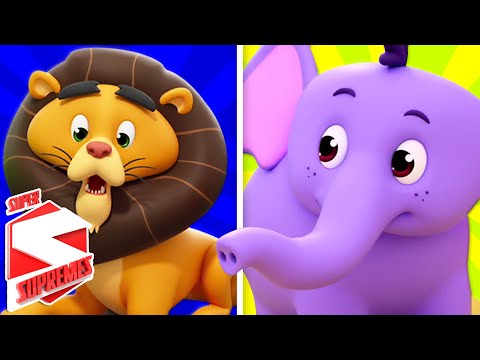 Zoo Song For Children | Nursery Rhymes For Kids By The Supremes