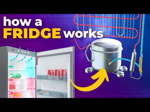 How does a Refrigerator work? 3D Animation