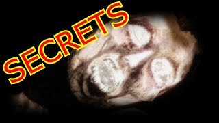 Skyrim Lore: Dark Brotherhood Secrets!