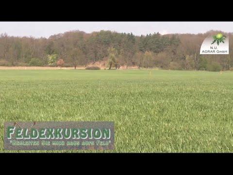 63. Feldexkursion: Gerste pinselt und Weizenhat gelbe Punkte - NU-Agrar, 03.05.2017