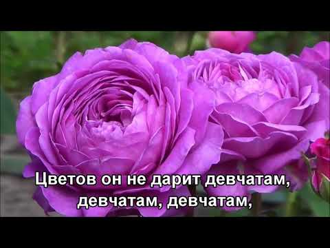 Алёша - Г.Николова, Г.Кордов (1971) (Subtitles)