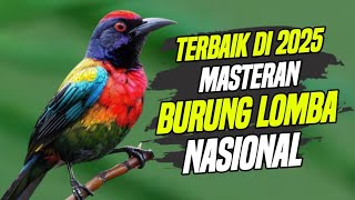 Download lagu MASTERAN UNTUK BURUNG LOMBA TERBAIK NASIONAL mp3 Download lagu MASTERAN UNTUK BURUNG LOMBA TERBAIK NASIONAL mp3