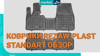 Rezaw-plast Коврики в салон Volkswagen Passat Alltrack - відео 1