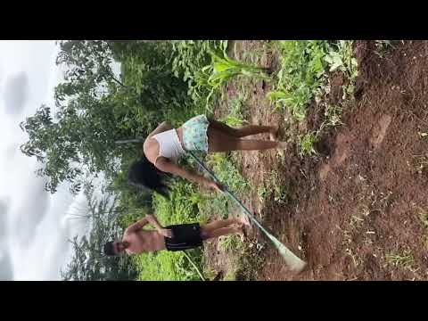 Time works , Clean my farm 😀