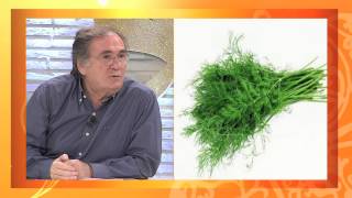 ANNE SÜTÜNÜ AZALTAN VE ARTTIRAN BESİNLER HANGİLERİ