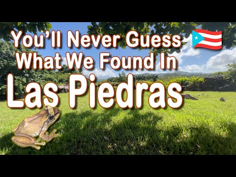 Uncover The Secrets Hidden at “Las Piedras Ceremonial Park” in Puerto Rico