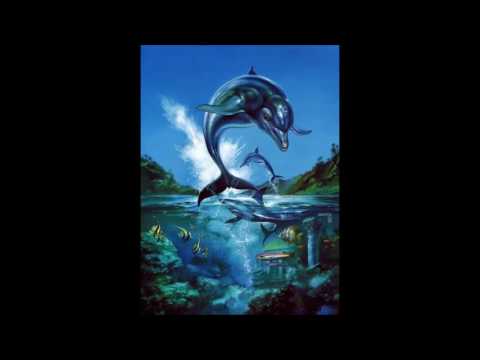 Ecco the Dolphin - The Vents [EXTENDED] Music