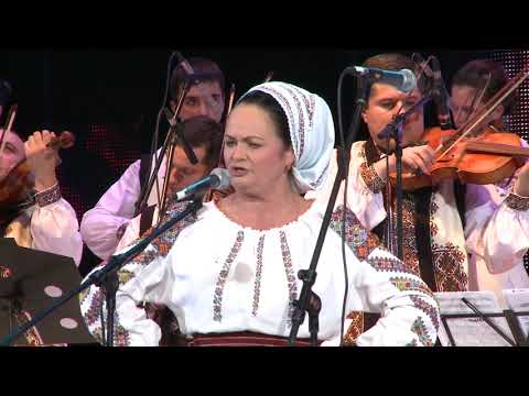 Ioana Capraru - Batuta #potcoavadeaur