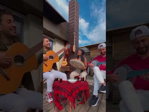 lavin perinçek & eymen adal