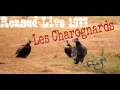Renaud Les Charognards live 1977 Belgique