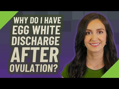 Egg White Discharge After Ovulation