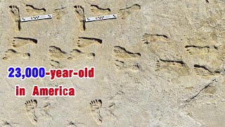 23,000-Years-Old: Earliest Human Footprints In North America Verified At 23,000 Years Old