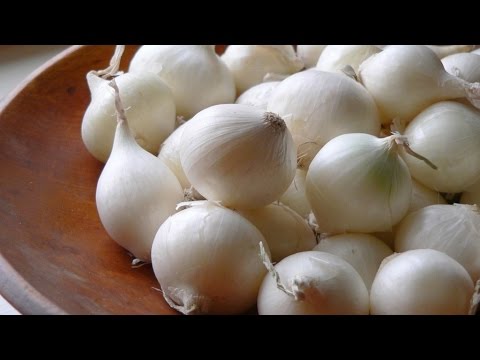 download lagu mp3 mp4 How To Cook Pearl Onions, download lagu How To Cook Pearl Onions gratis, unduh video klip How To Cook Pearl Onions