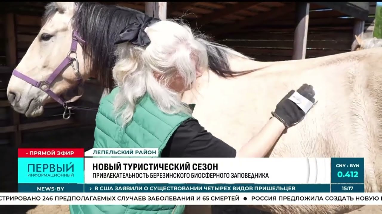 Конный экотуризм в Березинском заповеднике (Национальная гостелерадиокомпания РБ от 17.05.26)