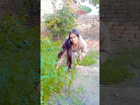 Sarita is different 🥰🥰 new short video #trending #vairlvidoe #yutubeshorts