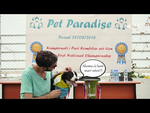 Life is Better with Friends - Kampionati i pare kombetar per qente Pet Paradise