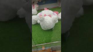 久しぶりにユーフォーキャッチャーやってみた