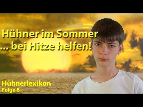 , title : 'Der gefährliche Sommer für Hühner - So funktioniert Hühnerhaltung im Sommer! | Hühnerlexikon Folge 8'